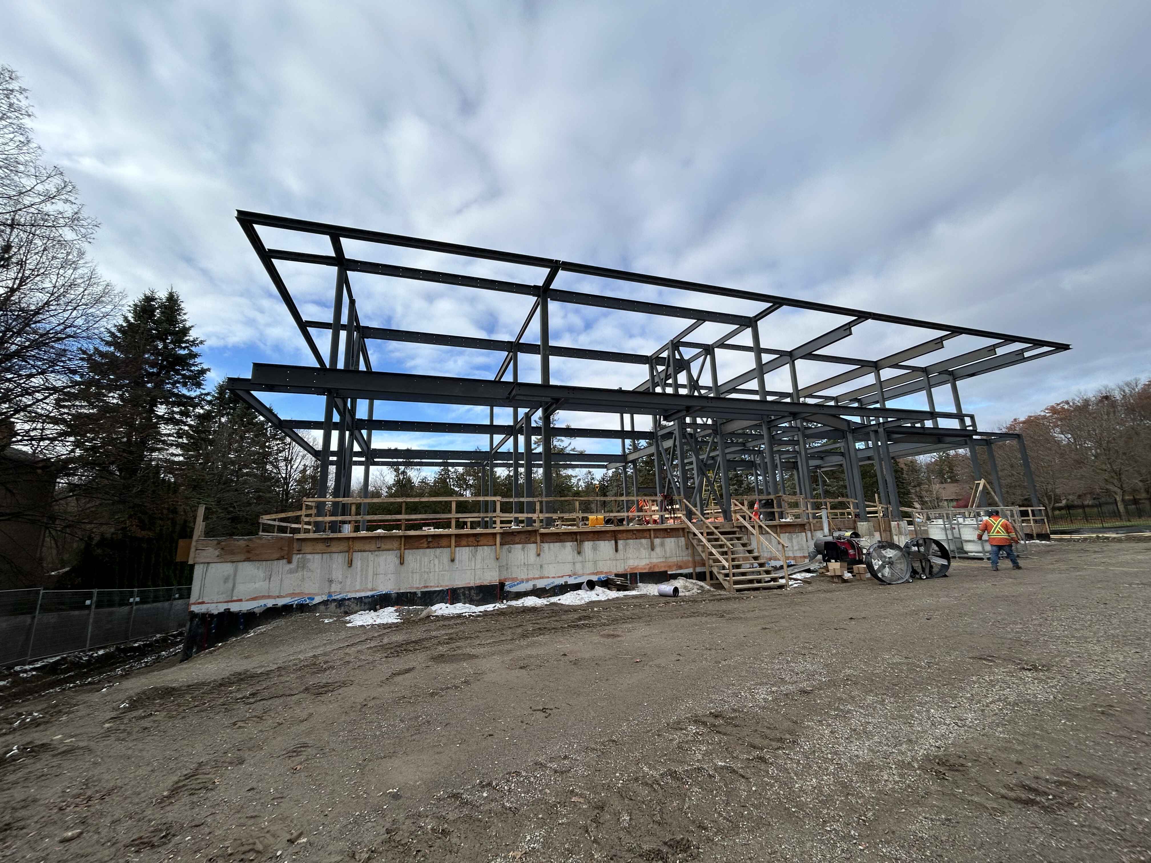 Honey Locust, Vaughan