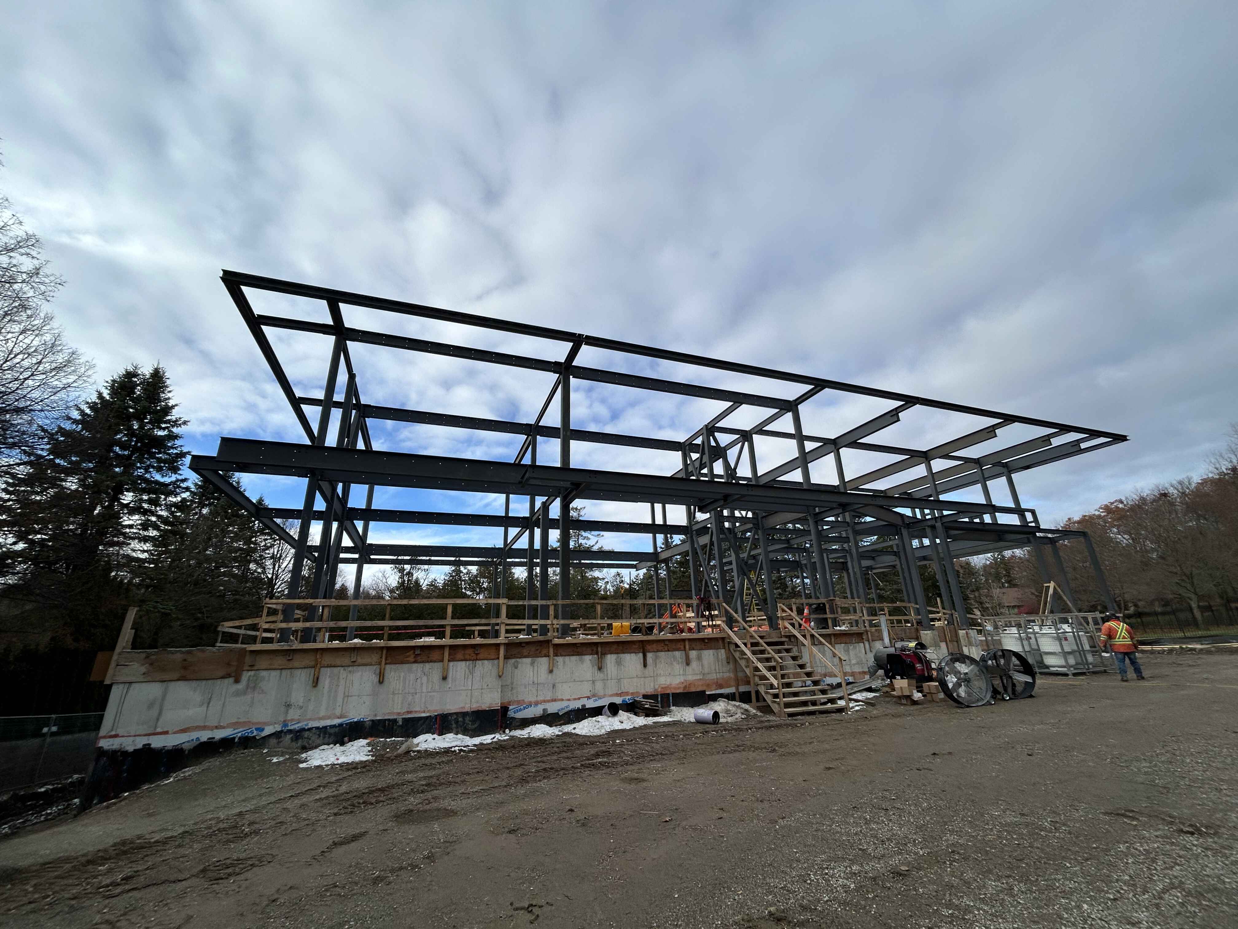 Honey Locust, Vaughan - Image 2